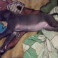 Sleep On 